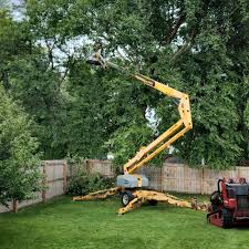 Best Weed Control  in Mayville, MI